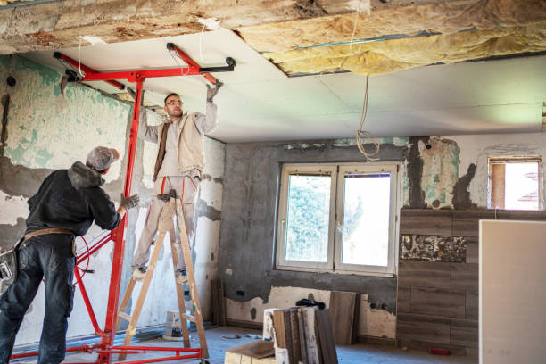 Best Insulation Maintenance and Repair in Fayette, AL