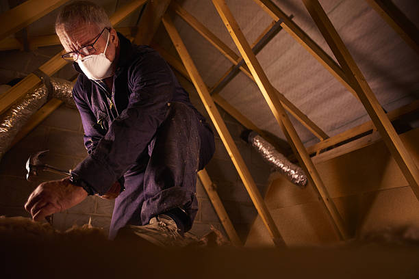 Types of Insulation We Offer in Fayette, AL
